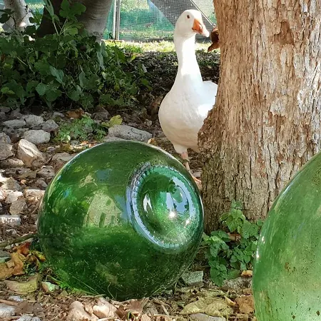 לינה וארוחת בוקר La Primavera *