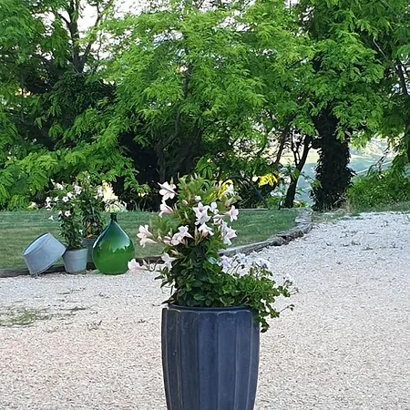 La Primavera * פרגולה